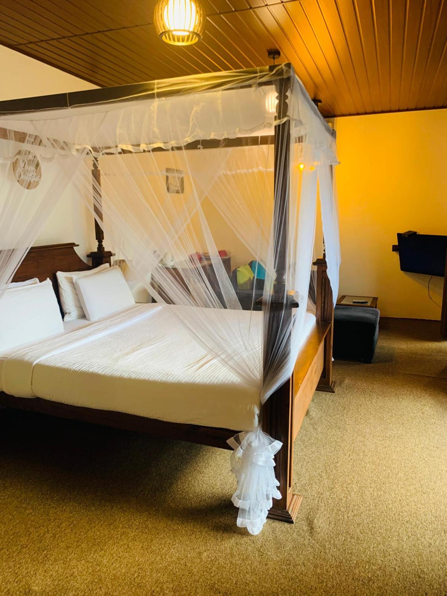 Cozy Homestay Элла Экстерьер фото