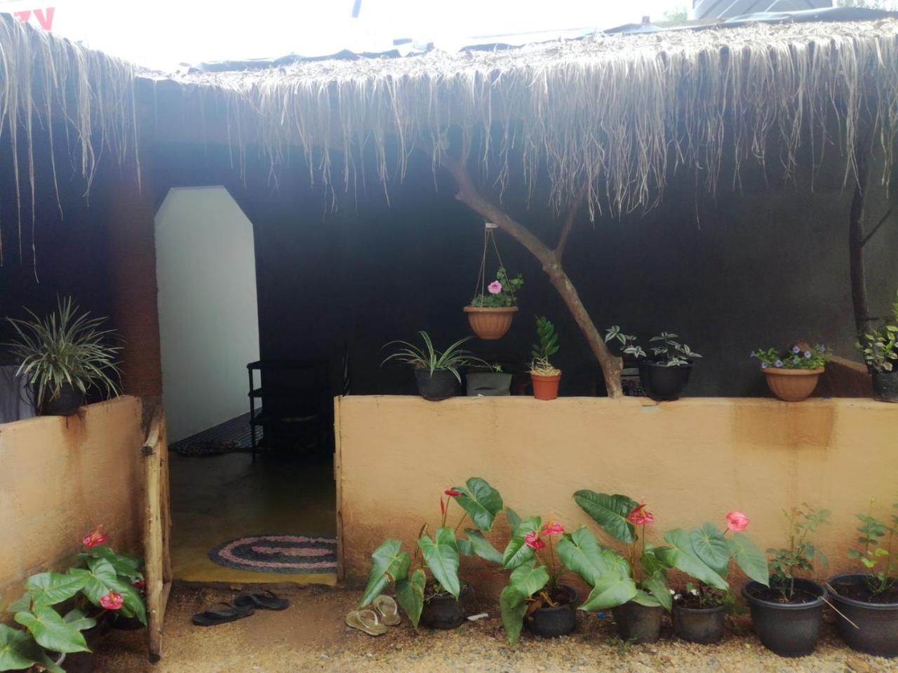 Cozy Homestay Элла Экстерьер фото